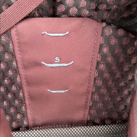 Gregory Maroon Women’s Deva 60 + Raincover - Picture 6 of 8